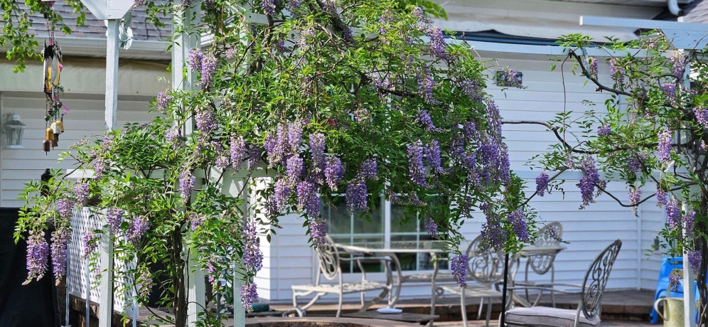 638 Merrion, ROSCOE, Illinois 61073, 4 Bedrooms Bedrooms, ,3 BathroomsBathrooms,House,For Sale,Merrion,202507419