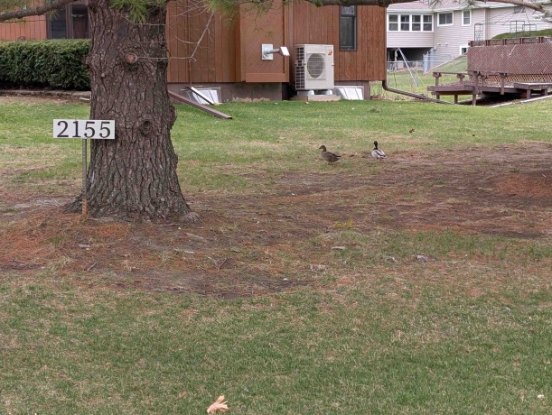 2155 Oriole, FREEPORT, Illinois 61032, 3 Bedrooms Bedrooms, ,1 BathroomBathrooms,House,For Sale,Oriole,202601822