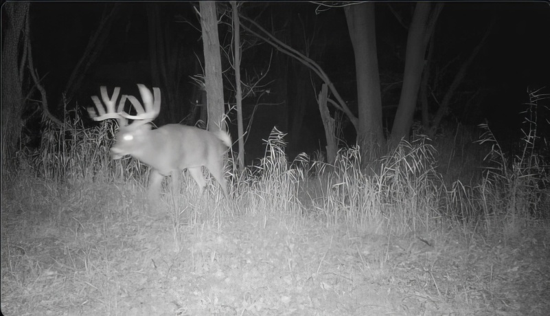 IL Route 26 N, FREEPORT, Illinois 61032, ,Land,For Sale,Route 26 N,202401426