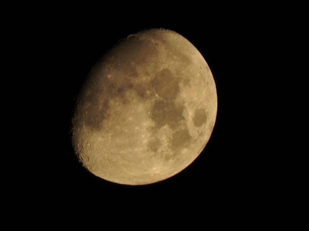 1396 Pier, LAKE SUMMERSET, Illinois 61019, ,Land,For Sale,Pier,202601834