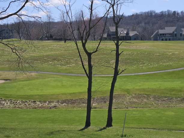 27 Spring Creek, GALENA, Illinois 61036, 2 Bedrooms Bedrooms, ,2 BathroomsBathrooms,Condominium,For Sale,Spring Creek,202601856