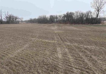 XXXX IL RT 173, HARVARD, Illinois 60033, ,Land,For Sale,IL RT 173,202601860