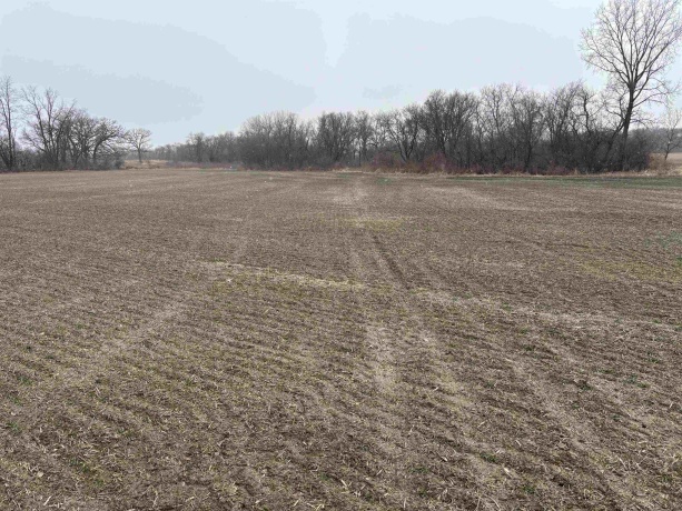 XXXX IL RT 173, HARVARD, Illinois 60033, ,Land,For Sale,IL RT 173,202601860