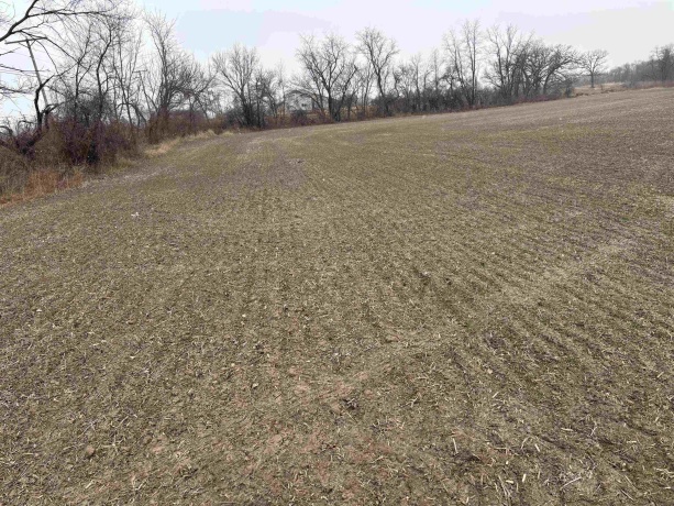 XXXX IL RT 173, HARVARD, Illinois 60033, ,Land,For Sale,IL RT 173,202601860