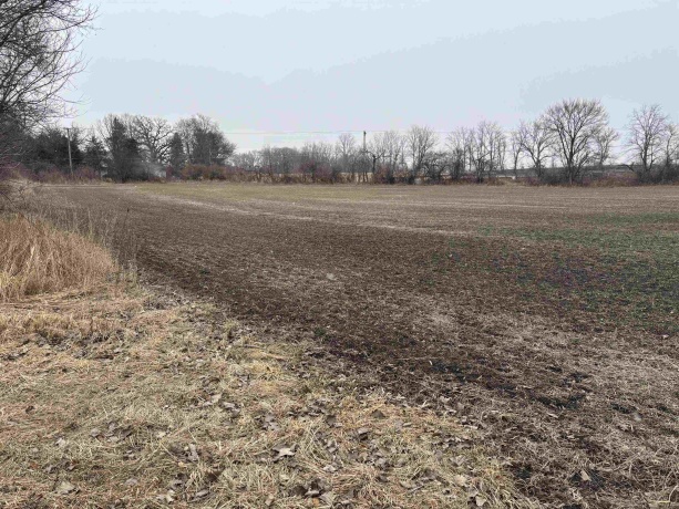 XXXX IL RT 173, HARVARD, Illinois 60033, ,Land,For Sale,IL RT 173,202601860