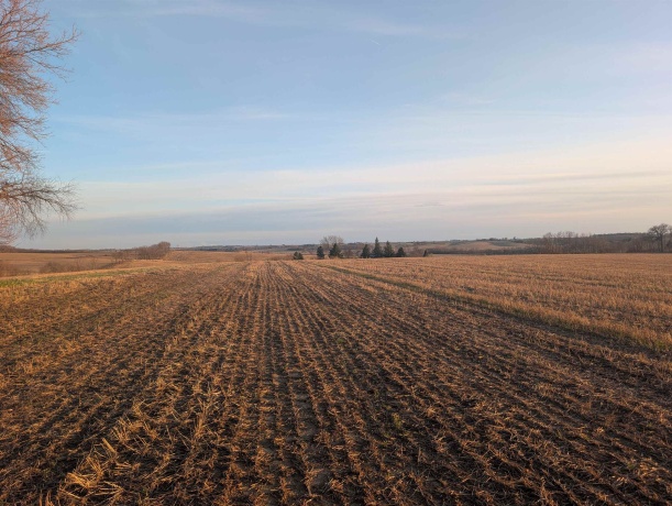 xxxx Yale Bridge, DURAND, Illinois 61024, ,Land,For Sale,Yale Bridge,202601866