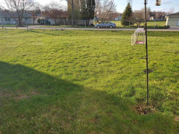 524 Chisholm, ROCKFORD, Illinois 61101, 3 Bedrooms Bedrooms, ,1 BathroomBathrooms,House,For Sale,Chisholm,202601881