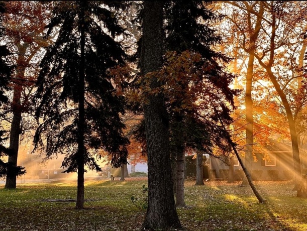 6127 Oak, BYRON, Illinois 61010, 3 Bedrooms Bedrooms, ,2 BathroomsBathrooms,House,For Sale,Oak,202601941