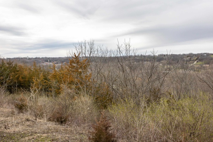 9384 Powder House Hill, GALENA, Illinois 61036, ,Land,For Sale,Powder House Hill,202401388