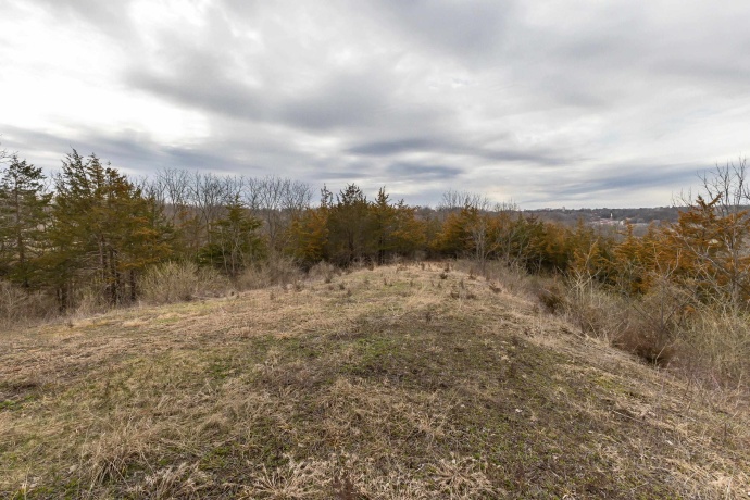 9384 Powder House Hill, GALENA, Illinois 61036, ,Land,For Sale,Powder House Hill,202401388