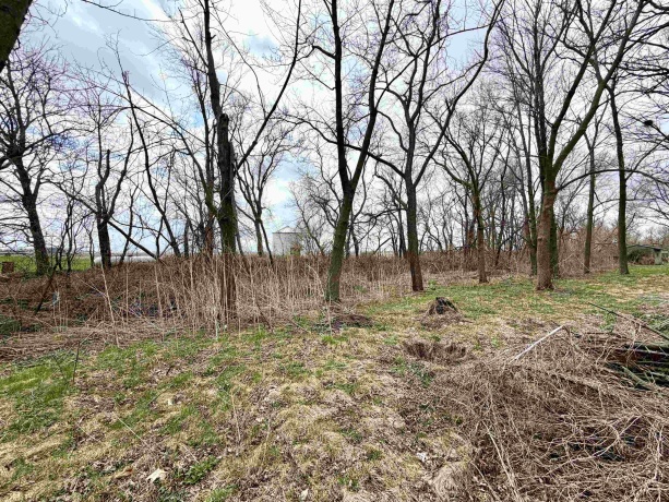 5982 Clare, CLARE, Illinois 60111, ,Land,For Sale,Clare,202601990