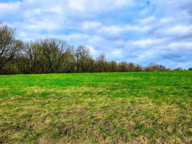 13-73R Lakeview, LAKE CARROLL, Illinois 61046, ,Land,For Sale,Lakeview,202601992