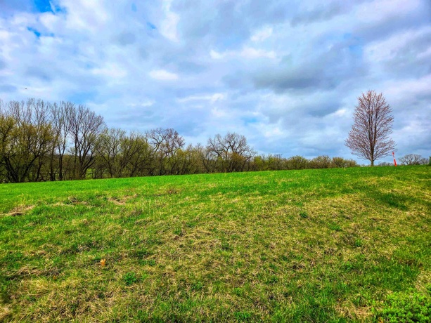 13-73R Lakeview, LAKE CARROLL, Illinois 61046, ,Land,For Sale,Lakeview,202601992