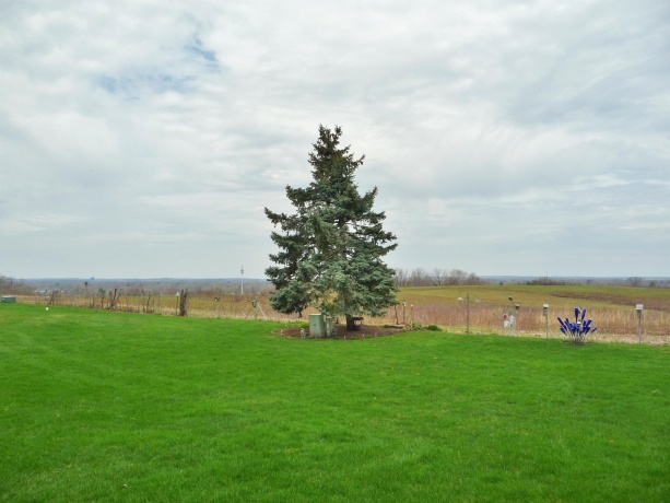 5310 Mist Flower Terrace, LOVES PARK, Illinois 61111, 2 Bedrooms Bedrooms, ,2 BathroomsBathrooms,Condominium,For Sale,Mist Flower Terrace,202602000