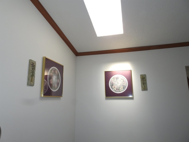 537 Park, BELVIDERE, Illinois 61008, 3 Bedrooms Bedrooms, ,2 BathroomsBathrooms,House,For Sale,Park,202602007