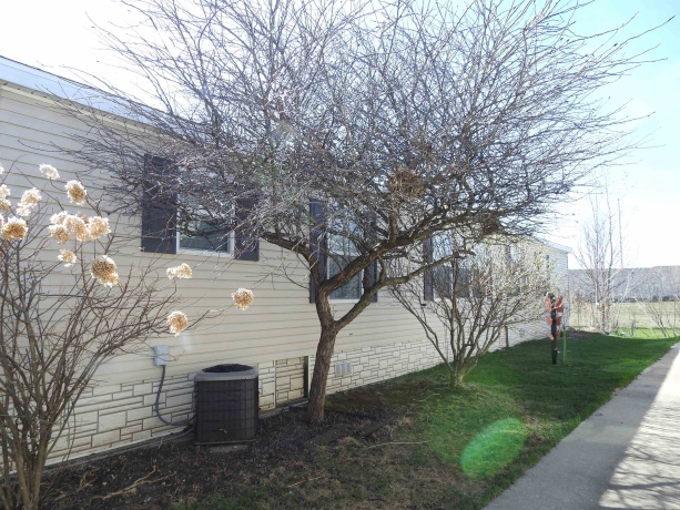 537 Park, BELVIDERE, Illinois 61008, 3 Bedrooms Bedrooms, ,2 BathroomsBathrooms,House,For Sale,Park,202602007