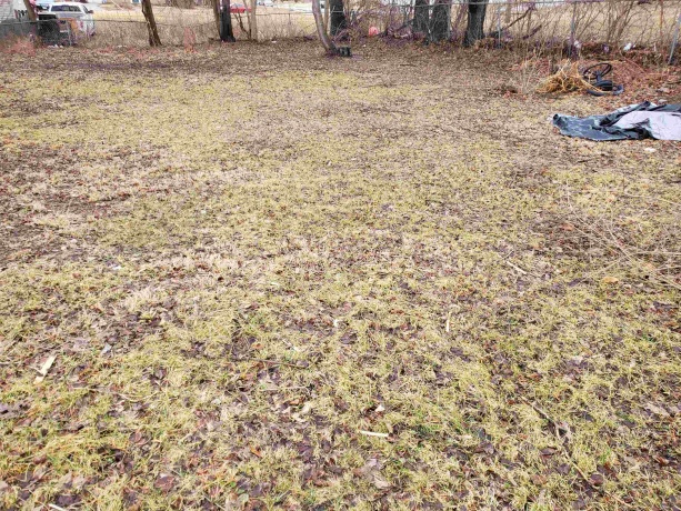 350 Cole, ROCKFORD, Illinois 61102, 2 Bedrooms Bedrooms, ,1 BathroomBathrooms,House,For Sale,Cole,202601254