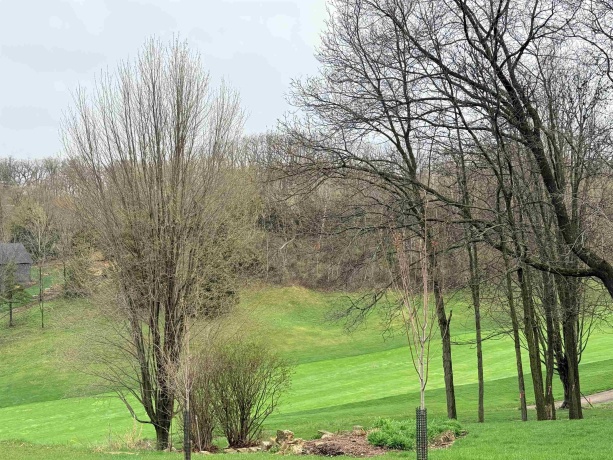 10 Linden, GALENA, Illinois 61036, ,Land,For Sale,Linden,202602059