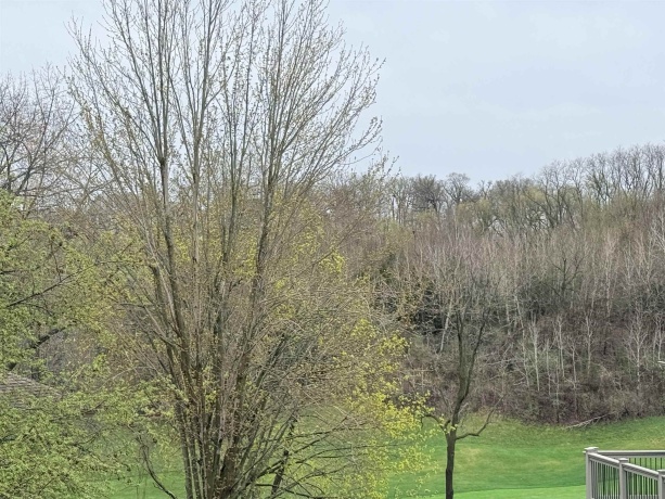 10 Linden, GALENA, Illinois 61036, ,Land,For Sale,Linden,202602059