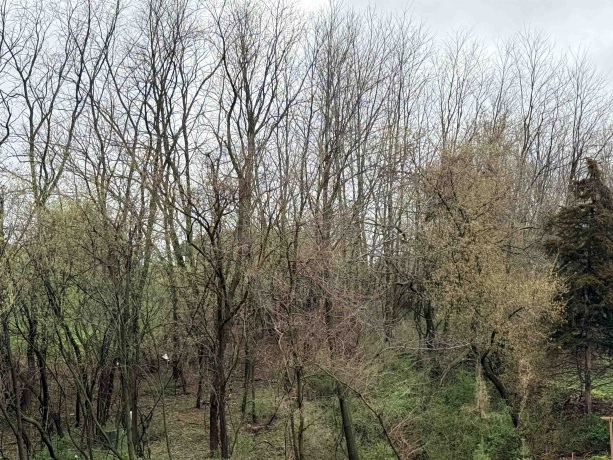 10 Linden, GALENA, Illinois 61036, ,Land,For Sale,Linden,202602059