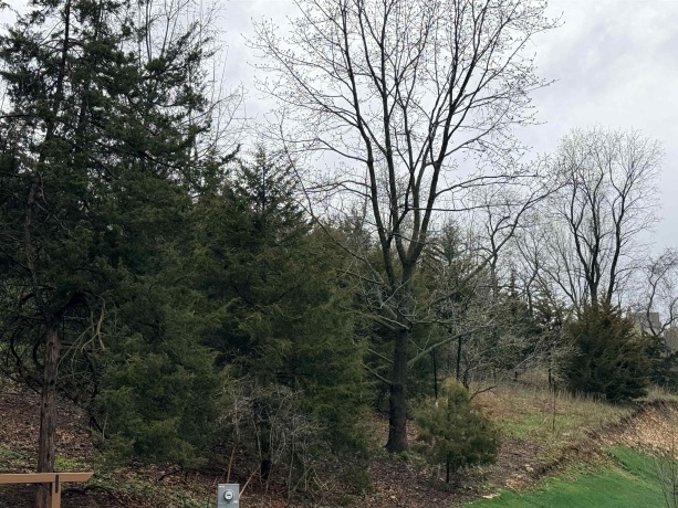 10 Linden, GALENA, Illinois 61036, ,Land,For Sale,Linden,202602059