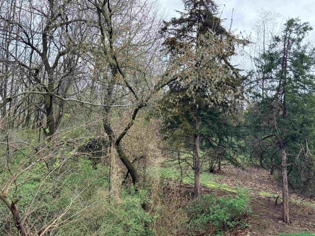 10 Linden, GALENA, Illinois 61036, ,Land,For Sale,Linden,202602059