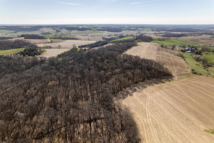 0 Flint, PEARL CITY, Illinois 61062, ,Land,For Sale,Flint,202602075