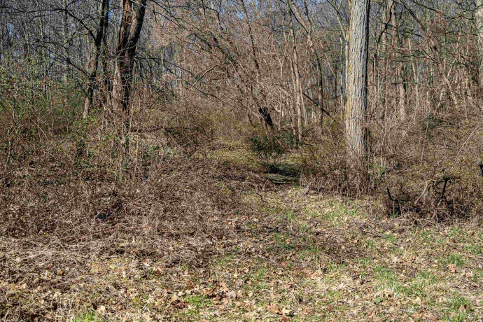 0 Flint, PEARL CITY, Illinois 61062, ,Land,For Sale,Flint,202602075