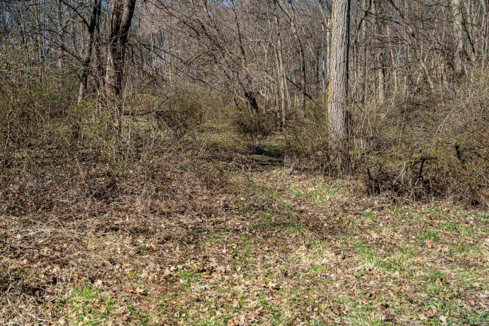 0 Flint, PEARL CITY, Illinois 61062, ,Land,For Sale,Flint,202602075