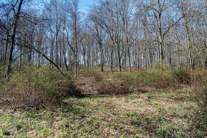 0 Flint, PEARL CITY, Illinois 61062, ,Land,For Sale,Flint,202602075