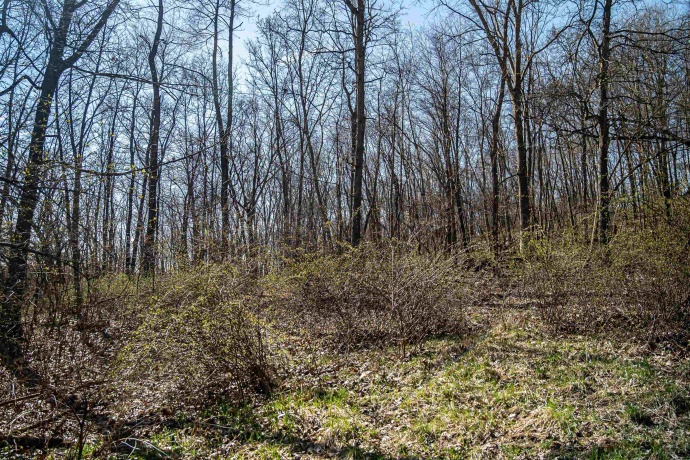 0 Flint, PEARL CITY, Illinois 61062, ,Land,For Sale,Flint,202602075