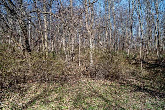 0 Flint, PEARL CITY, Illinois 61062, ,Land,For Sale,Flint,202602075