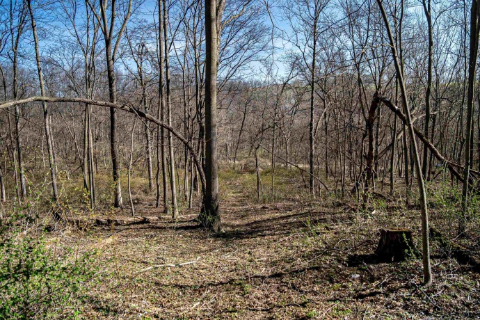 0 Flint, PEARL CITY, Illinois 61062, ,Land,For Sale,Flint,202602075