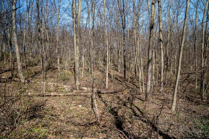 0 Flint, PEARL CITY, Illinois 61062, ,Land,For Sale,Flint,202602075