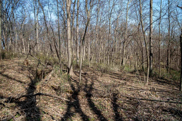 0 Flint, PEARL CITY, Illinois 61062, ,Land,For Sale,Flint,202602075