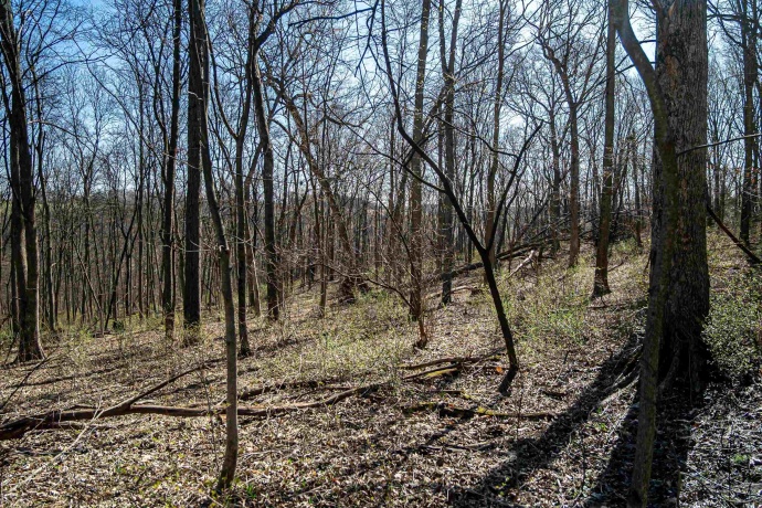 0 Flint, PEARL CITY, Illinois 61062, ,Land,For Sale,Flint,202602075