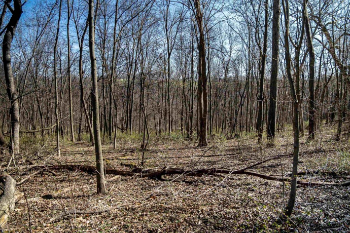 0 Flint, PEARL CITY, Illinois 61062, ,Land,For Sale,Flint,202602075