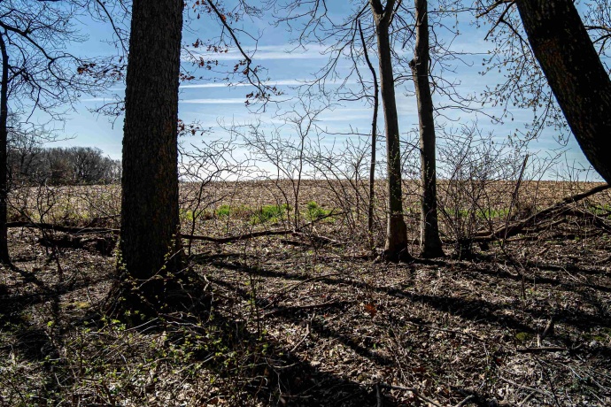 0 Flint, PEARL CITY, Illinois 61062, ,Land,For Sale,Flint,202602075