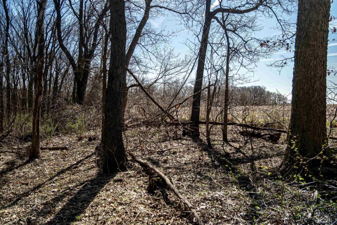 0 Flint, PEARL CITY, Illinois 61062, ,Land,For Sale,Flint,202602075