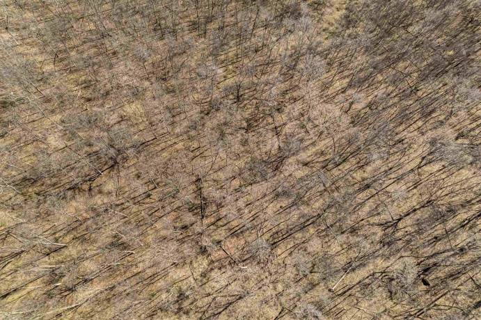 0 Flint, PEARL CITY, Illinois 61062, ,Land,For Sale,Flint,202602075