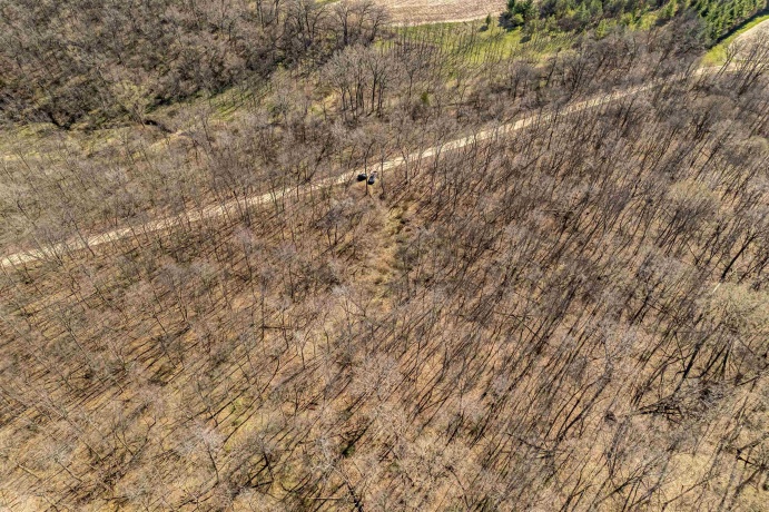 0 Flint, PEARL CITY, Illinois 61062, ,Land,For Sale,Flint,202602075