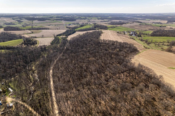 0 Flint, PEARL CITY, Illinois 61062, ,Land,For Sale,Flint,202602075