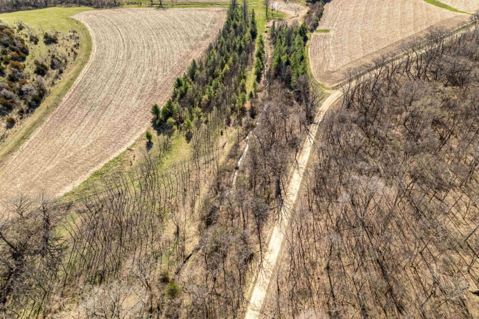 0 Flint, PEARL CITY, Illinois 61062, ,Land,For Sale,Flint,202602075