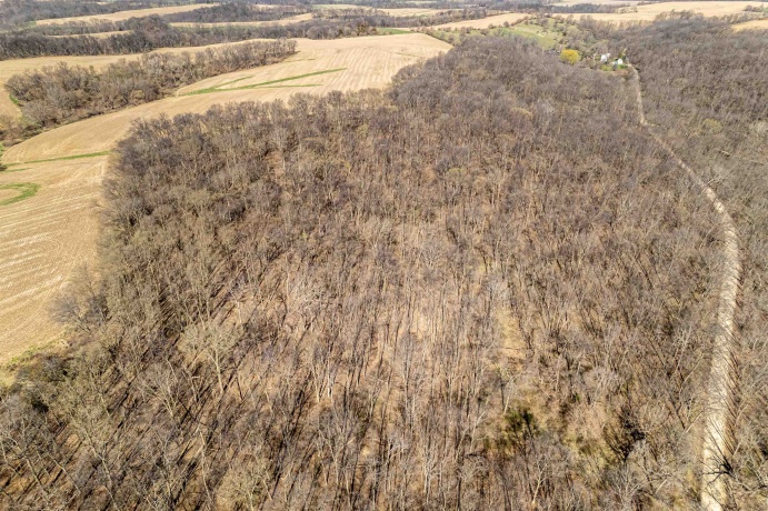 0 Flint, PEARL CITY, Illinois 61062, ,Land,For Sale,Flint,202602075