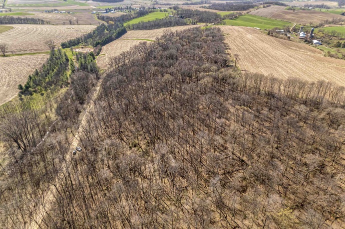 0 Flint, PEARL CITY, Illinois 61062, ,Land,For Sale,Flint,202602075