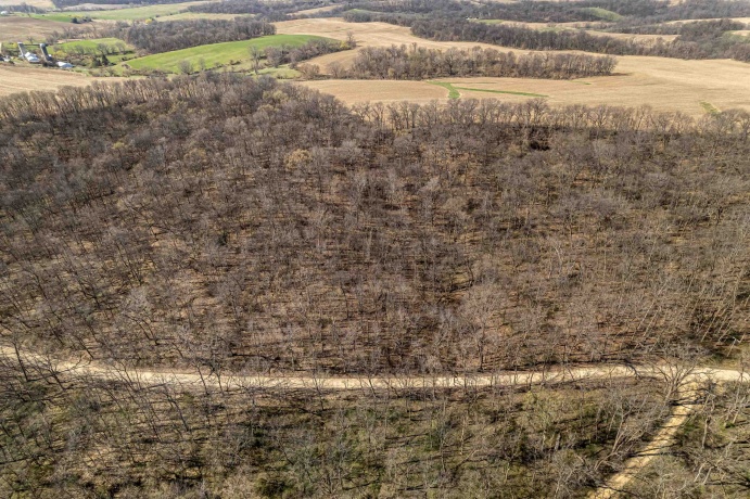 0 Flint, PEARL CITY, Illinois 61062, ,Land,For Sale,Flint,202602075