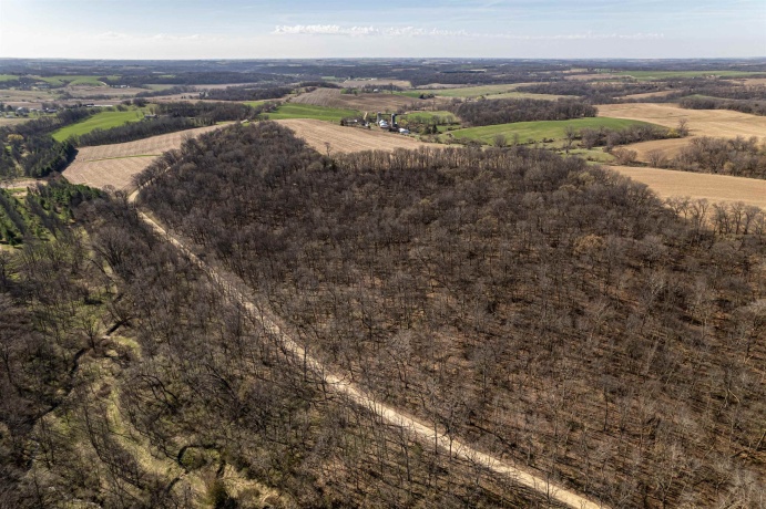 0 Flint, PEARL CITY, Illinois 61062, ,Land,For Sale,Flint,202602075