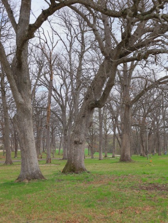 4500 River, RIDOTT, Illinois 61067, ,Land,For Sale,River,202602084