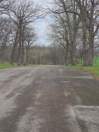 4500 River, RIDOTT, Illinois 61067, ,Land,For Sale,River,202602084