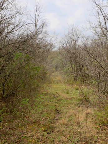 000 US BYPASS 20, FREEPORT, Illinois 61032, ,Land,For Sale,US BYPASS 20,202602085